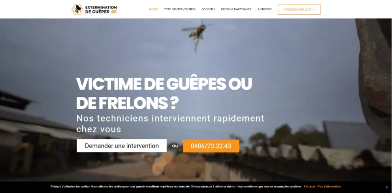 Site d'Extermination de guêpes
